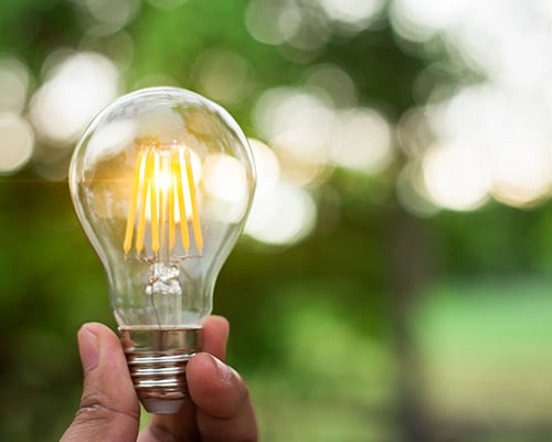 bulb